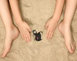 Coraopolis Locksmith Service Coraopolis, PA 412-533-9169 Coraopolis Locksmith Service Coraopolis, PA 412-533-9169